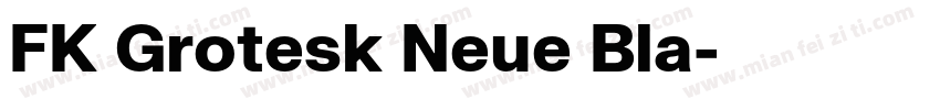 FK Grotesk Neue Bla字体转换
